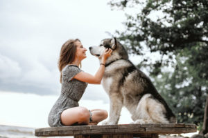 best supplements for dogs